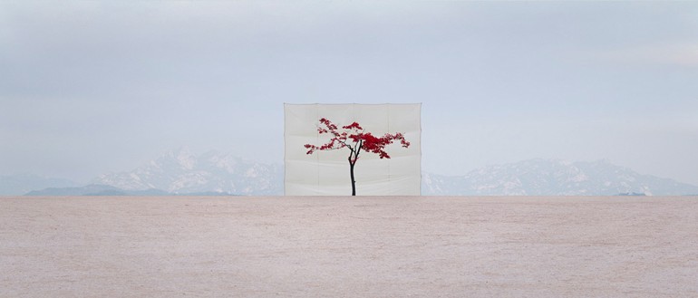 Myoung Ho Lee_Web1