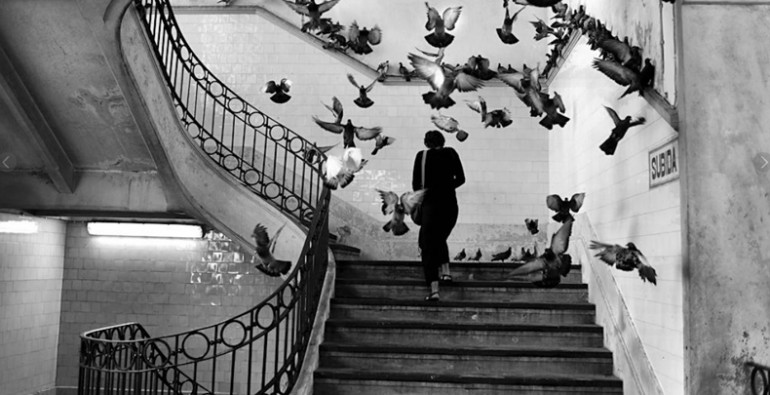 Rui-Palha_Web1