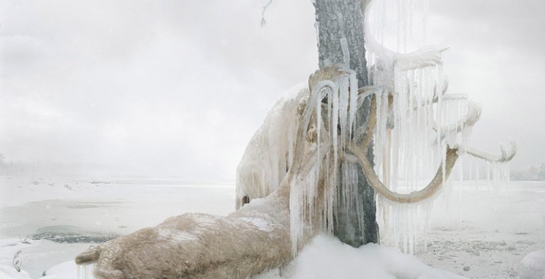 Simen-Johan_web1
