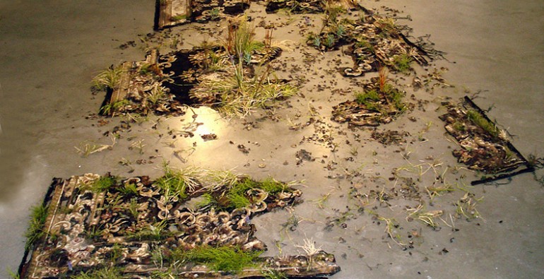 Valerie-Hegarty_Web9