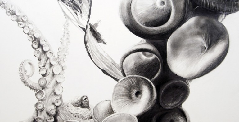 octopus