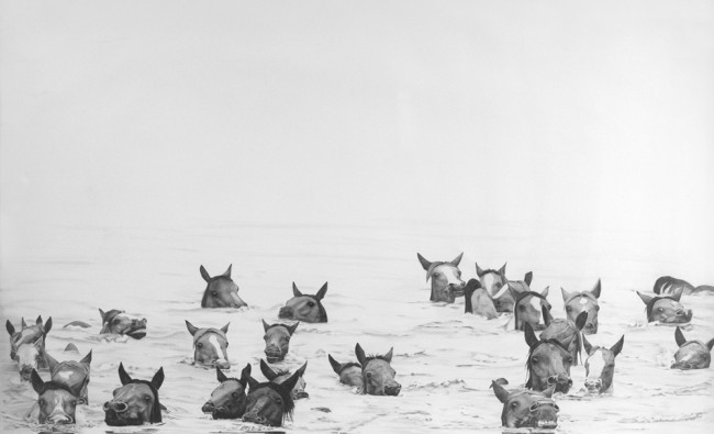 ponyswim1-650x428
