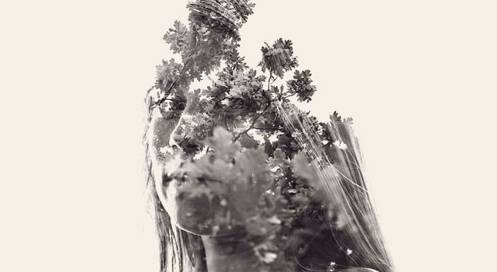 relander_web10