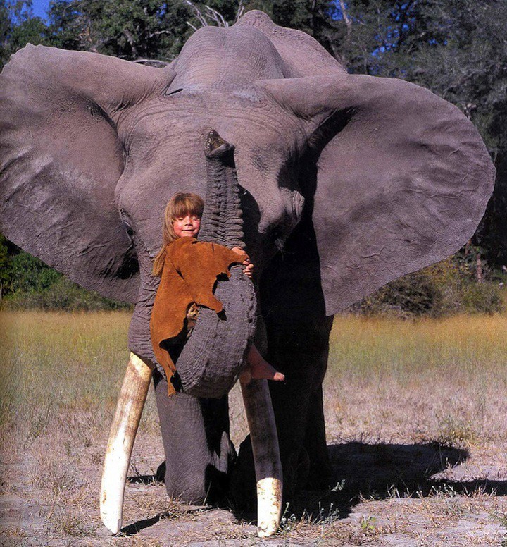 Tippi-Degre14.jpg?f9a1d1