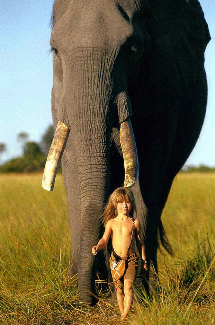 Tippi-Degre4.jpg?f9a1d1