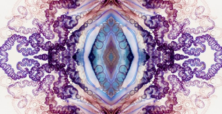 art blog - Aaron Ansarov - empty kingdom