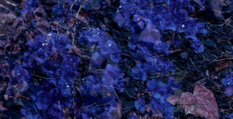 Art Blog - Doldrums, Angus Borsos - Empty Kingdom
