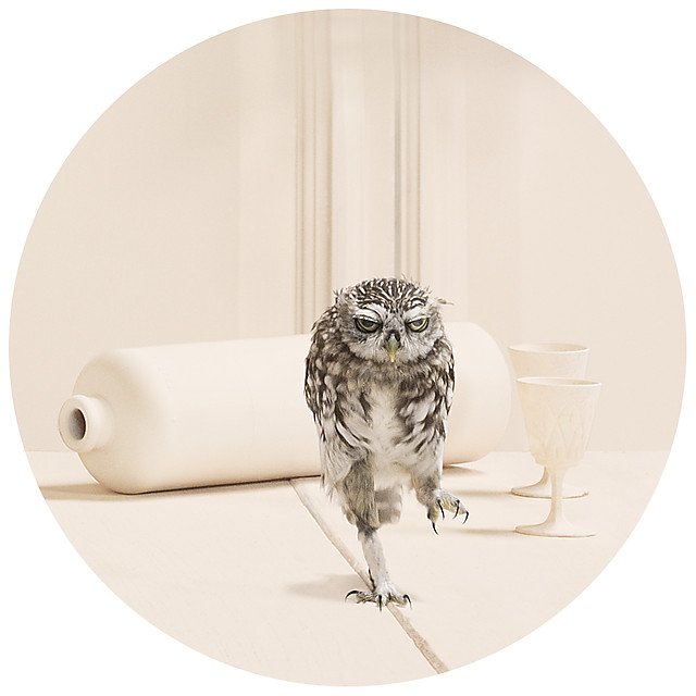 http://www.emptykingdom.com/wp-content/uploads/2016/10/Frieke-Janssens-4.jpg